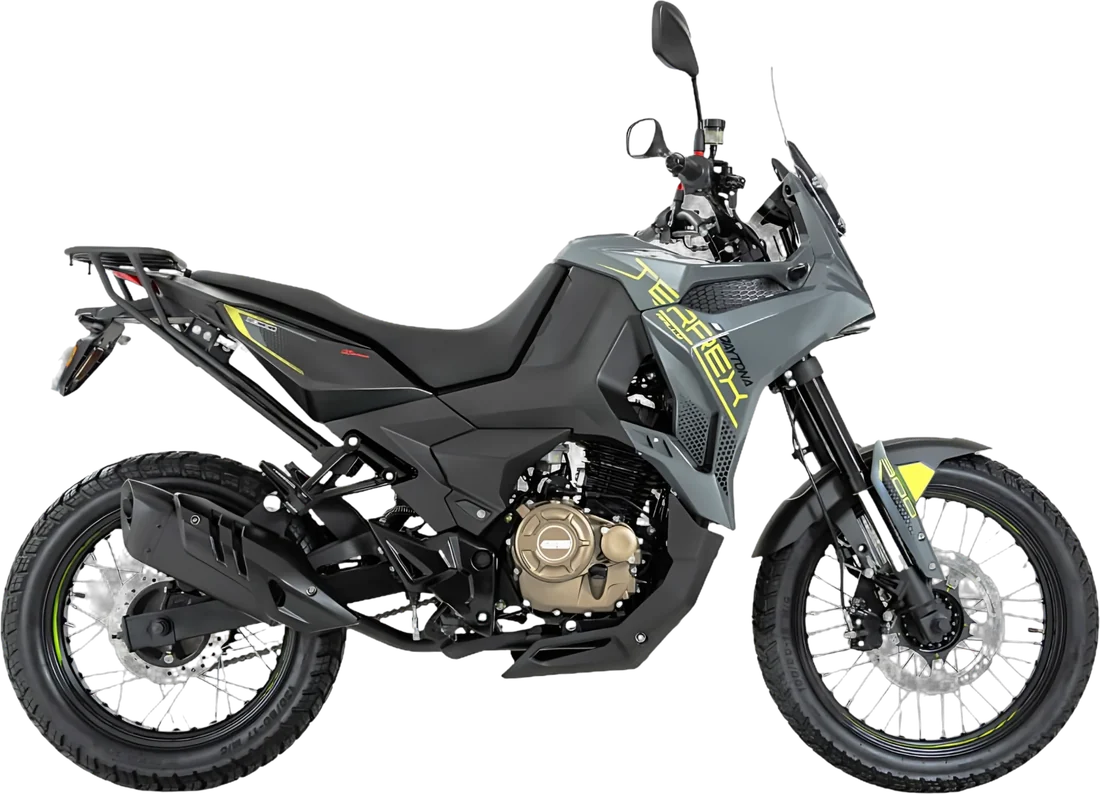 MOTO DAYTONA DY300 TERREX 2027, vista lateral